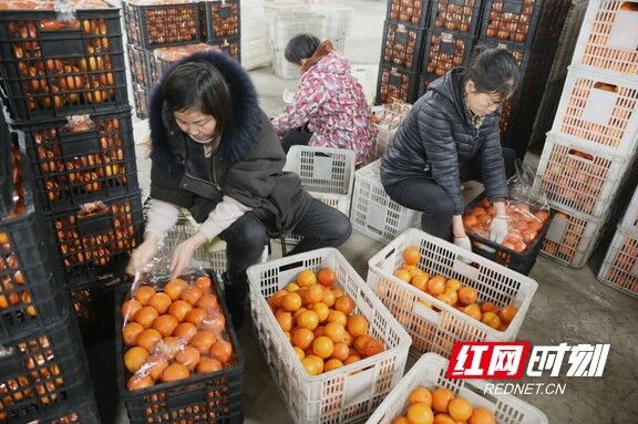 QQ图片20210129170152.jpg