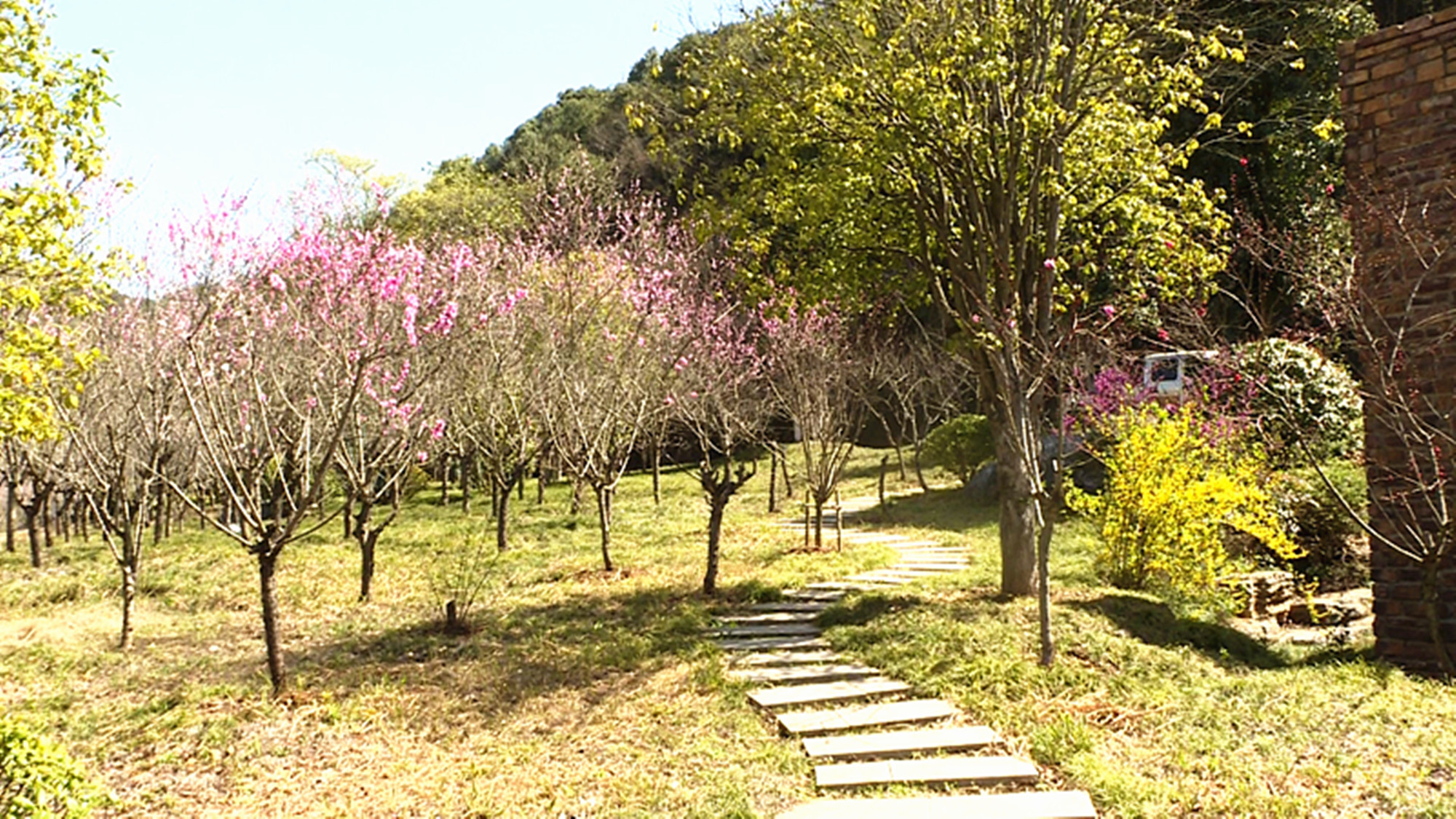 0314桃花岛003_副本.jpg