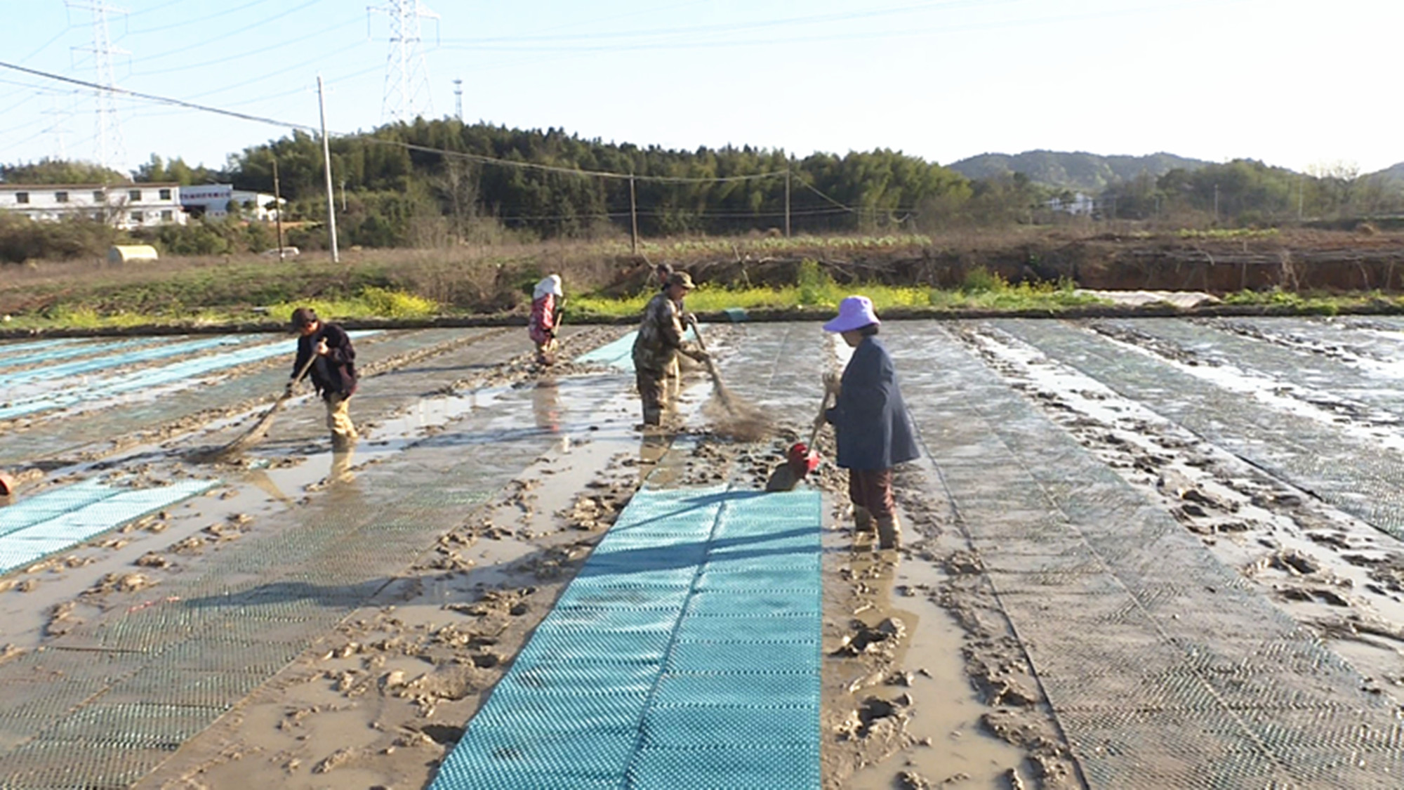 3.16五里高标准农田003_副本.jpg