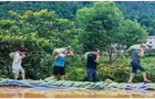 为实干者撑腰，让担当者无忧——从一枚耳环的舆论风波说起