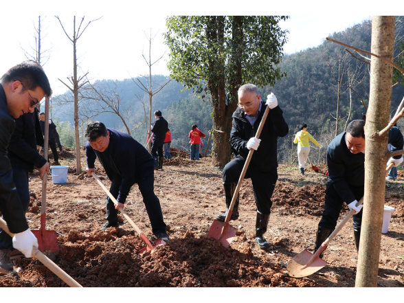 数百株新苗“安家”五尖山 干群合力共护生态绿
