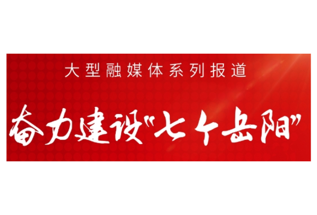 奋力建设“七个岳阳”⑥丨访临湘市委书记王文华、市长刘琦