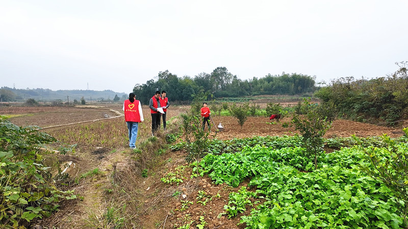 宣传桔_副本.jpg 宣传桔_副本.jpg