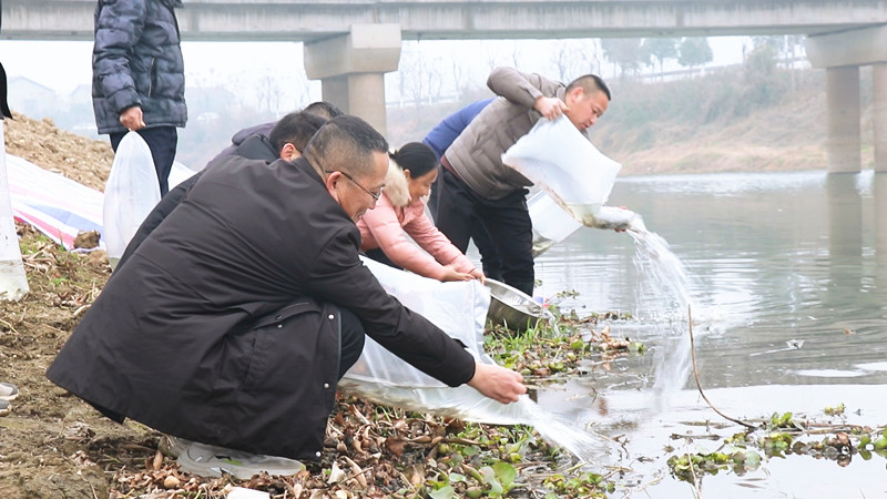 MVI_1378.MP4_snapshot_00.00.533_副本.jpg MVI_1378.MP4_snapshot_00.00.533_副本.jpg