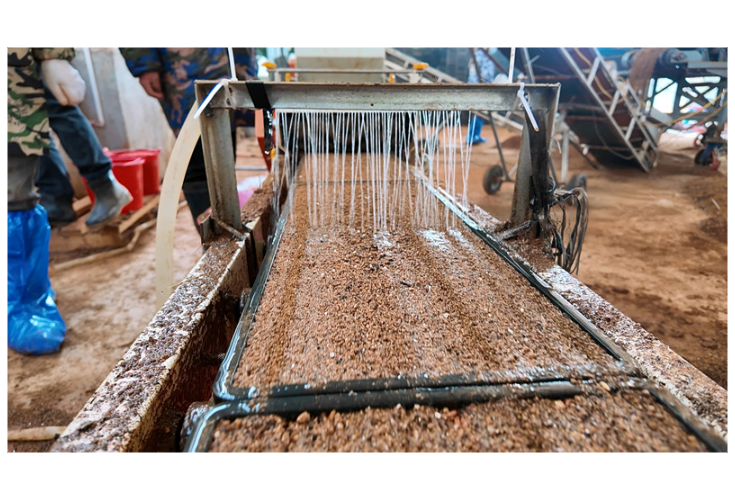 詹桥镇：工厂化育秧抢农时 科技赋能备春耕