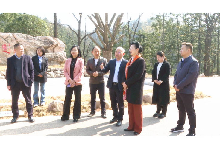 魏淑萍来我市调研第四届岳阳市旅发大会筹备工作 刘琦参加