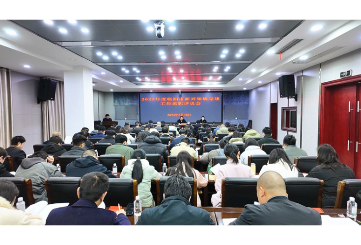全市新兴领域党建工作述职评议会召开