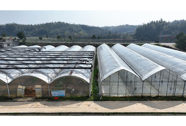 科技赋能春耕备耕 智能育秧提质增效