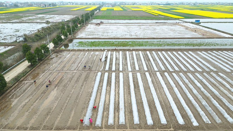 江南_副本.jpg 江南_副本.jpg