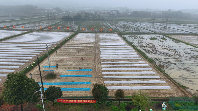 坦_副本.jpg 坦_副本.jpg