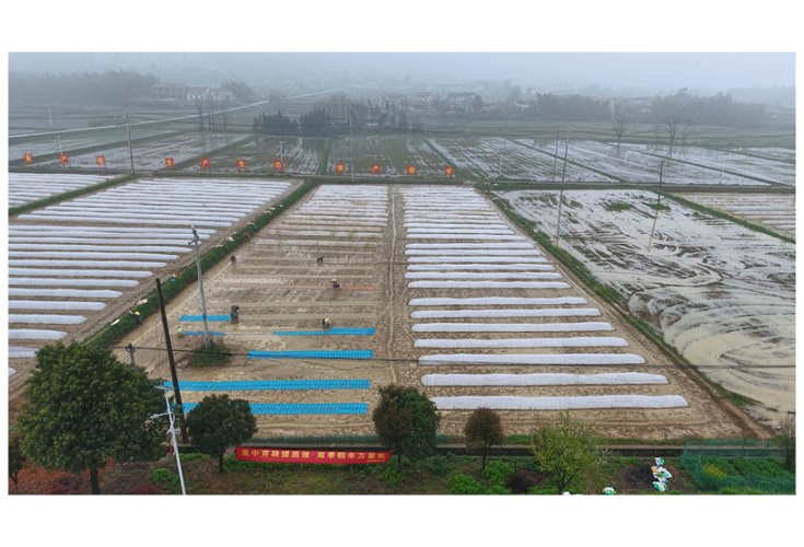 坦渡镇：抢抓农时育新秧 备耕忙绘丰收景