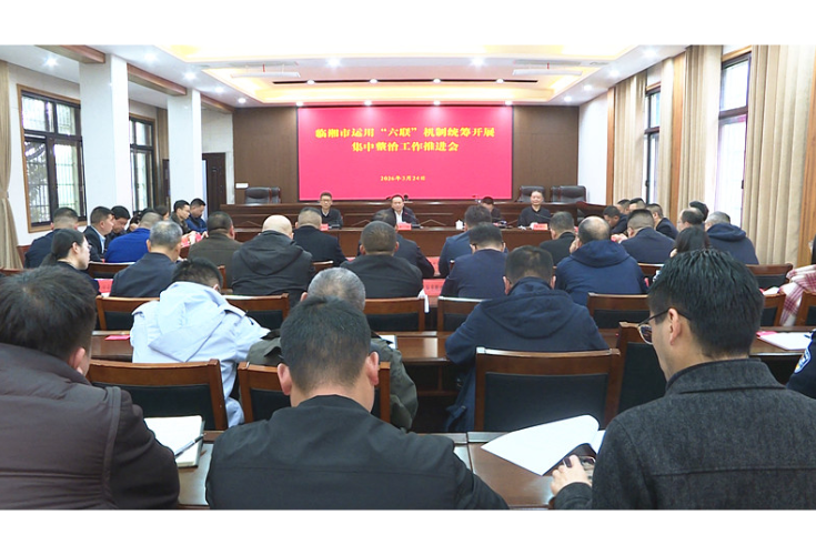 我市召开运用“六联”机制统筹开展集中整治工作推进会