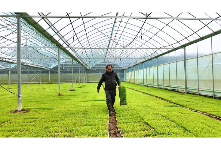 忠防镇：农技下沉暖春耕 护航早稻促丰收