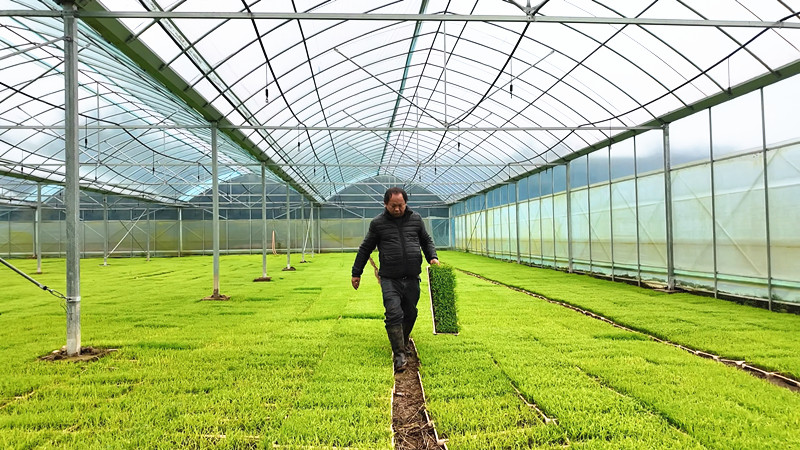 忠防_副本.jpg 忠防_副本.jpg