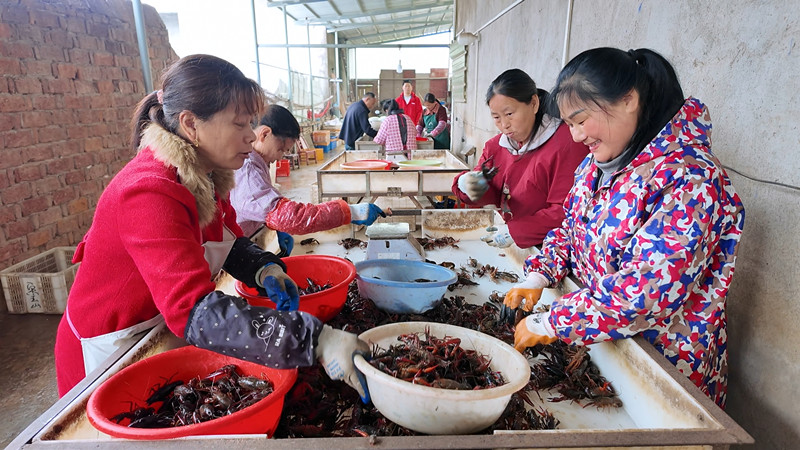 江南_副本.jpg 江南_副本.jpg