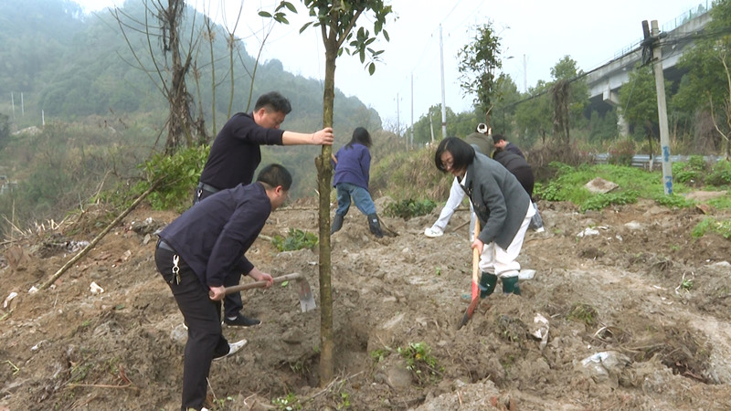 詹桥1_副本.jpg 詹桥1_副本.jpg