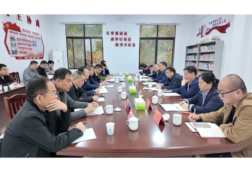 【大兴调查研究】王文华到我市忠防镇调研乡村振兴工作