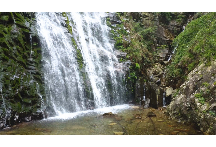 羊楼司镇龙窖山村：临渊观飞瀑 龙潭春意浓