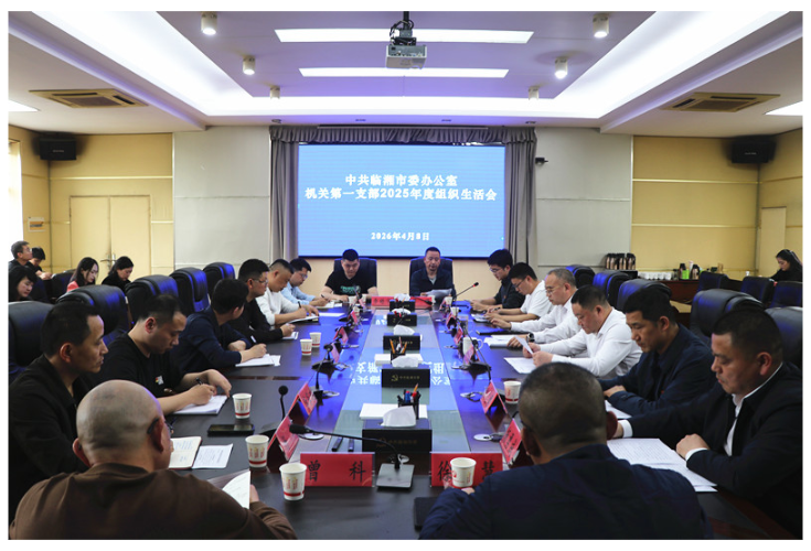 刘琦参加市委办公室机关第一党支部2025年度组织生活会