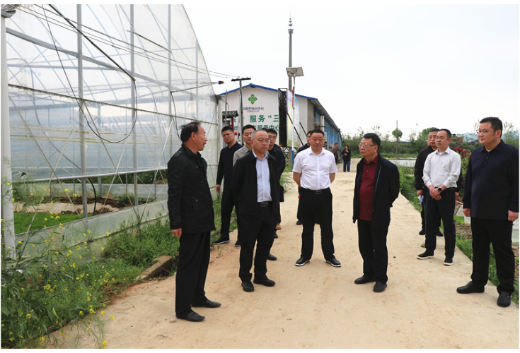   刘琦专题调研春耕生产及防汛工作