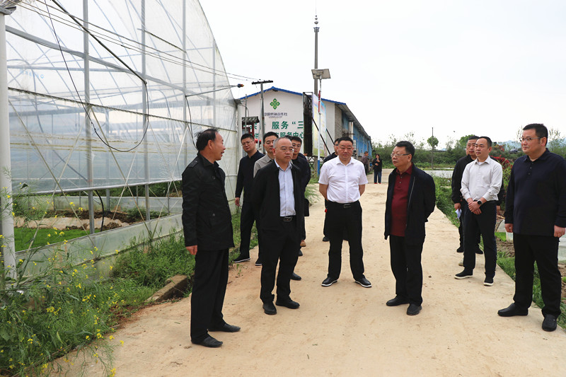 IMG_2547_副本.jpg IMG_2547_副本.jpg