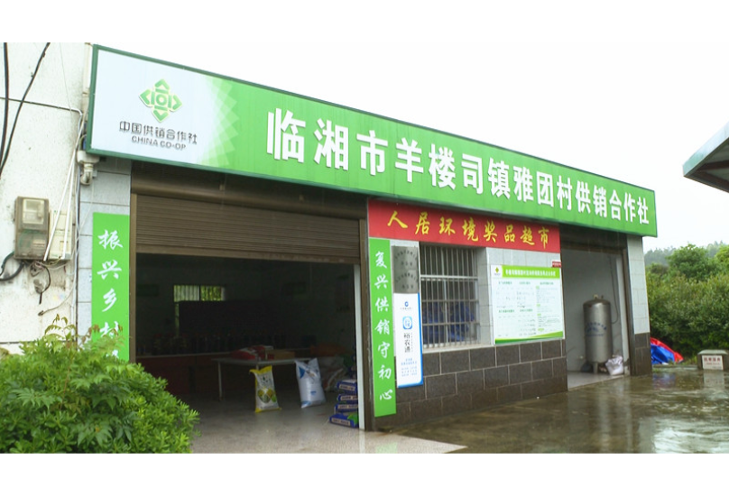 羊楼司镇雅团村：供销下沉助农 服务聚力兴村