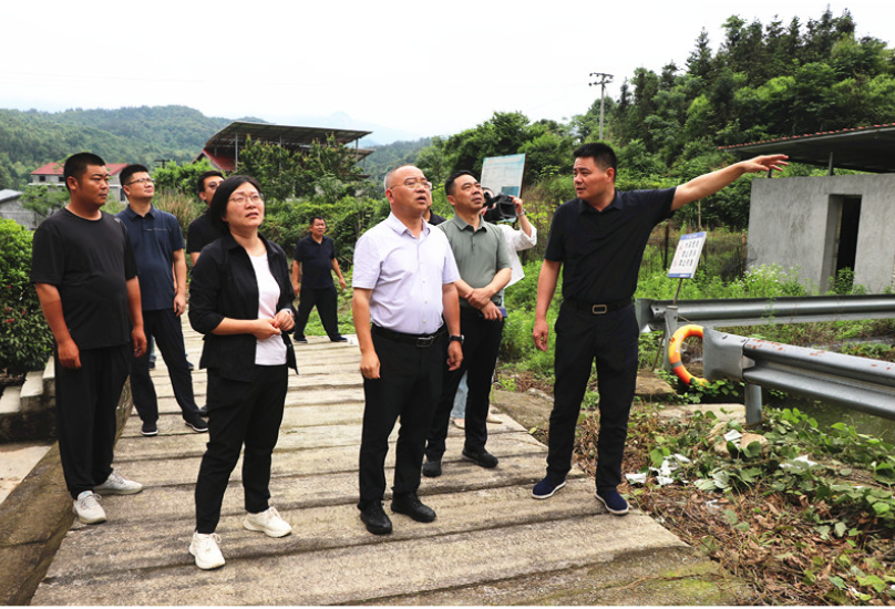 刘琦深入忠防镇、詹桥镇督导地质灾害隐患点防治工作