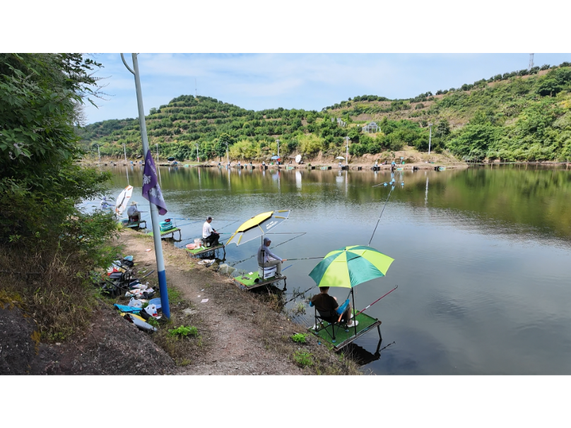 长塘镇古洞村：垂钓引客激活水库资源 林下散养壮大集体经济