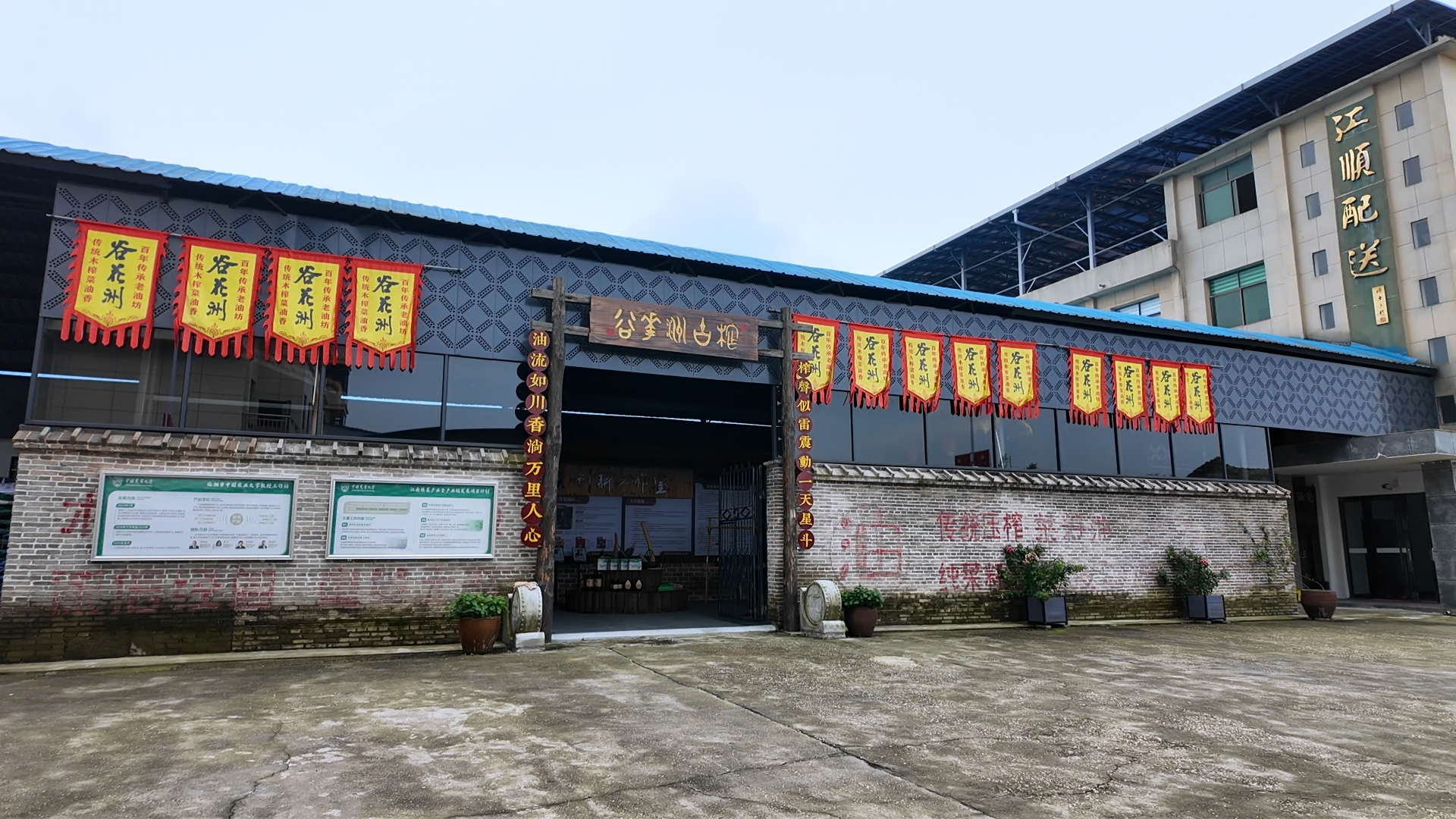 江菜.jpg