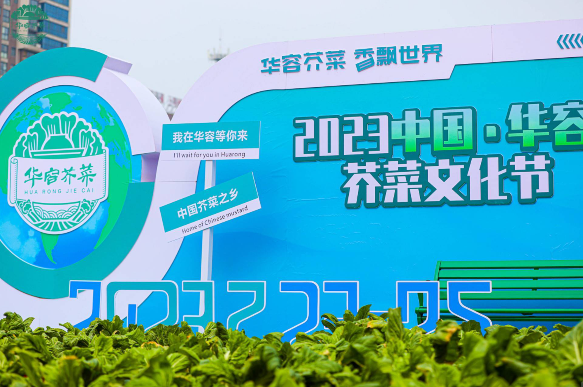 荠菜.png0.png