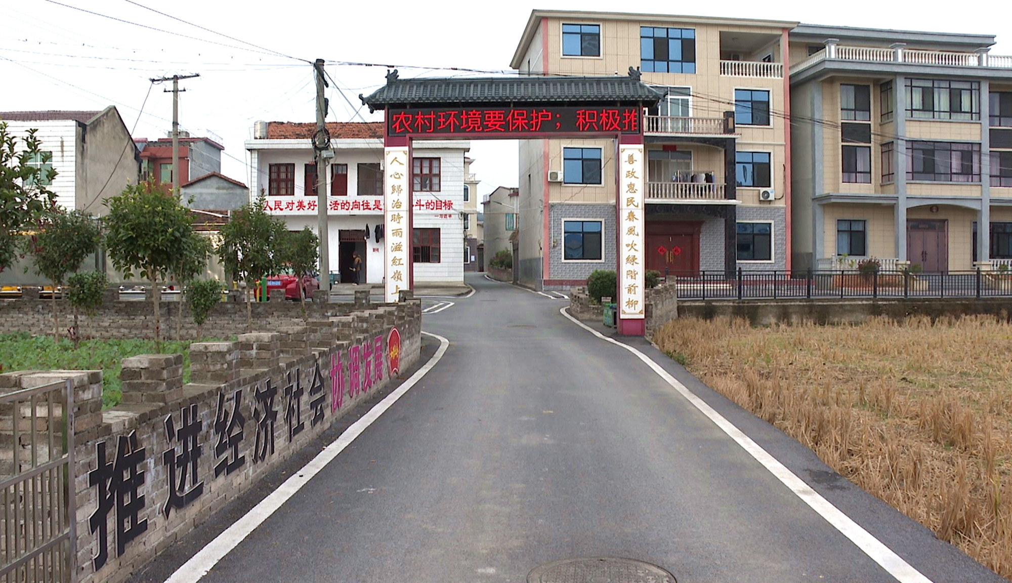 桃林025_副本.jpg 桃林025_副本.jpg