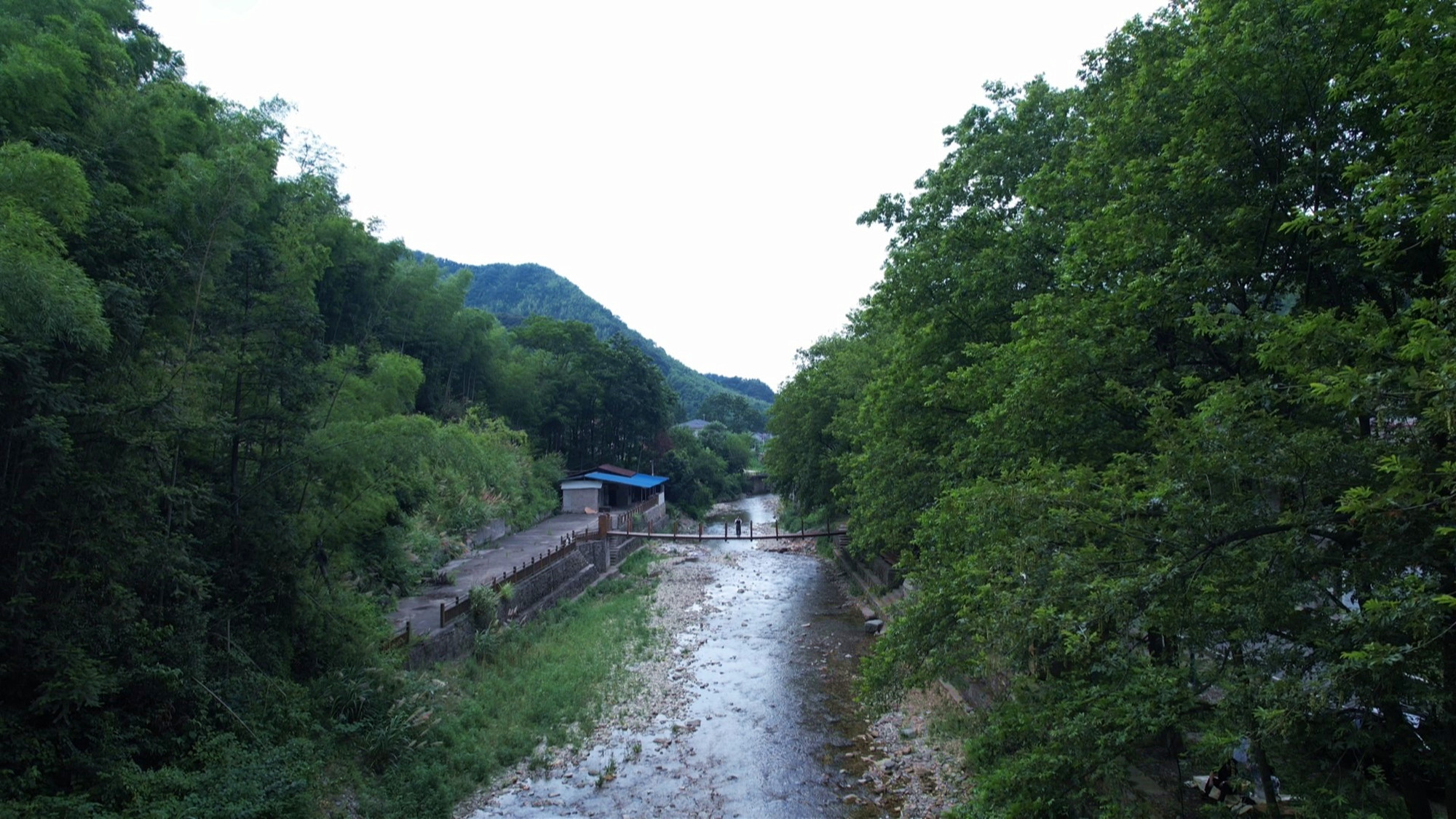 “三长”共护碧水清流  天然“氧吧”享自然019_副本.jpg