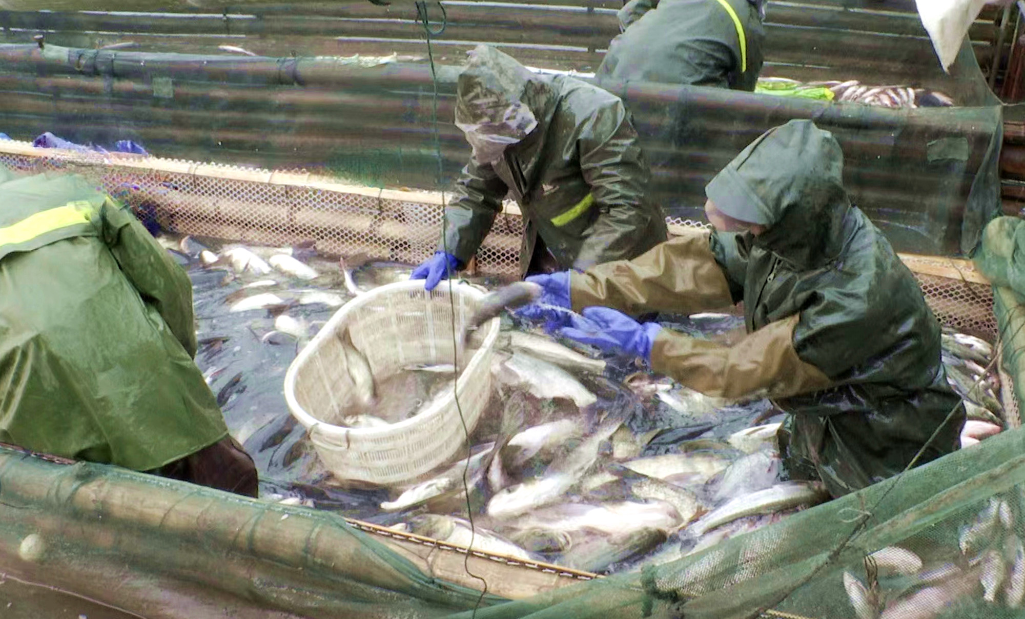 1_副本.jpg 1_副本.jpg