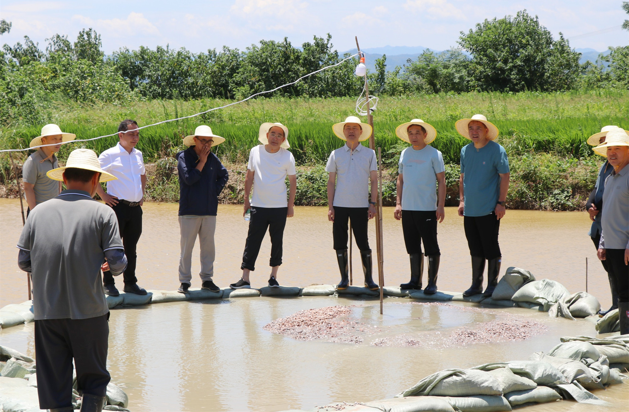 微信图片_20240708152318_副本.jpg 微信图片_20240708152318_副本.jpg