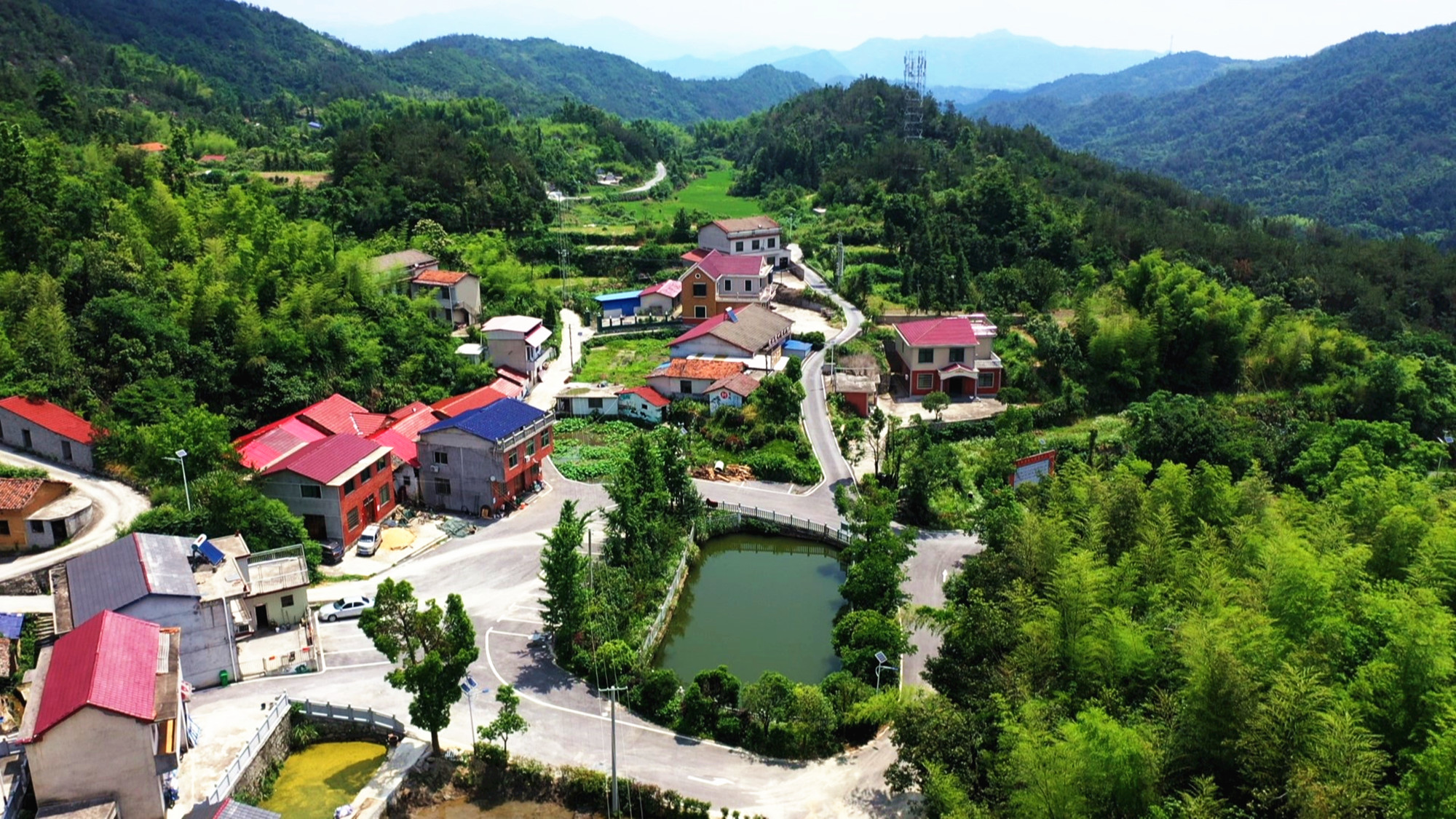 百佳书记詹桥镇分水村 陈波航拍005_副本.jpg