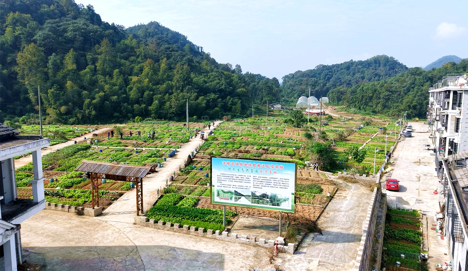 共享菜园1_副本.jpg 共享菜园1_副本.jpg