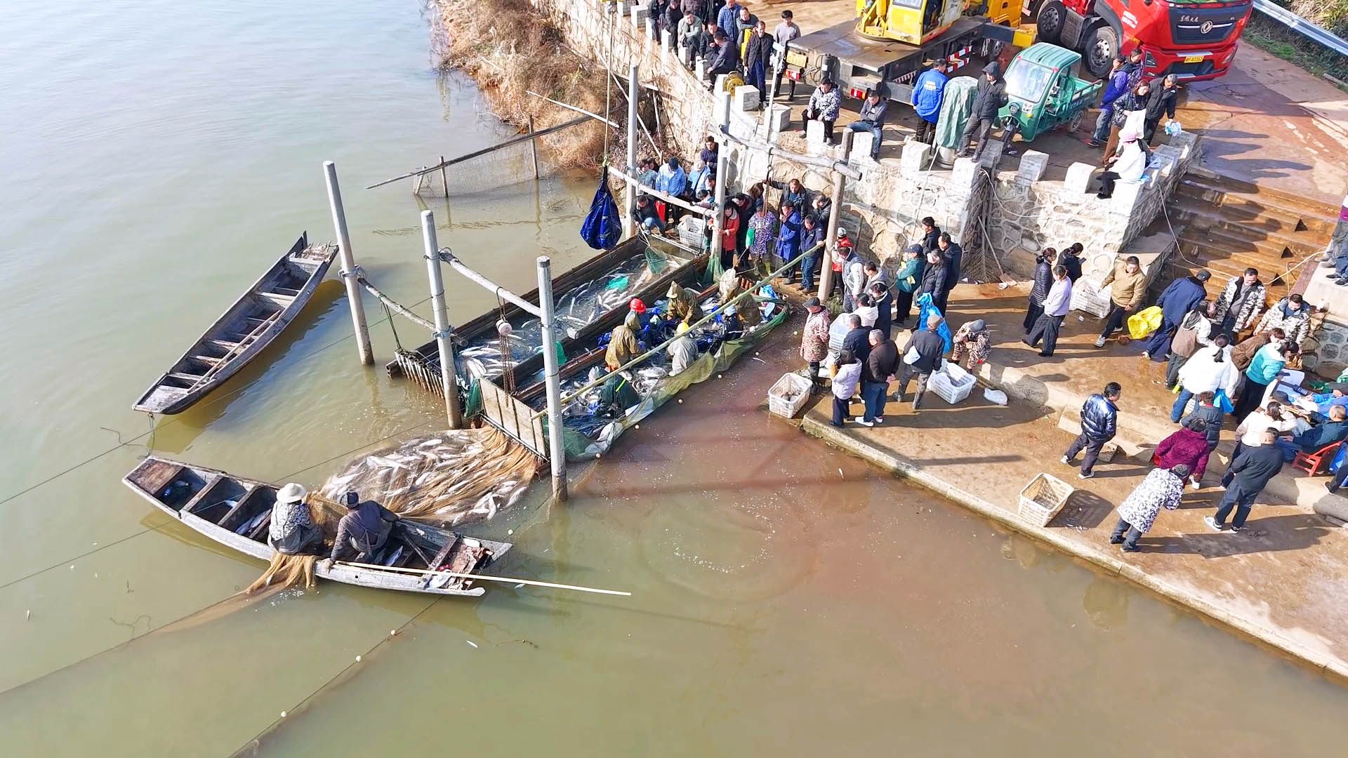 1226新建渔场：冬捕盛景 鱼跃人欢2.jpg