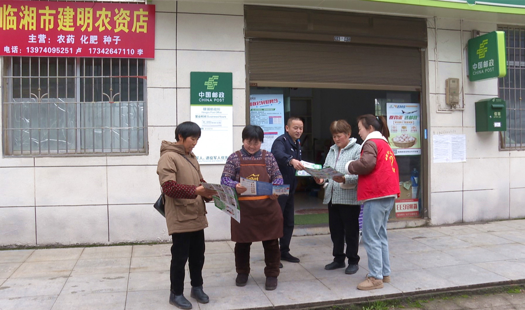 桃林苎麻010_副本.jpg