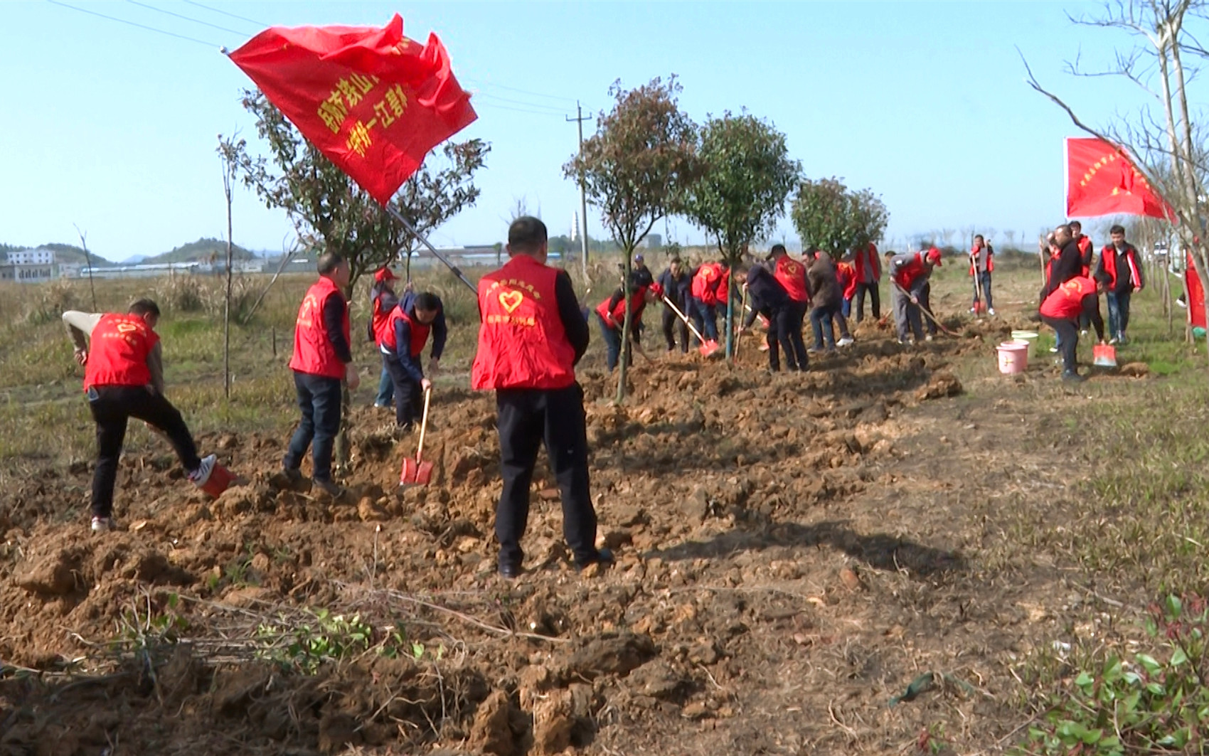 水利植树3_副本.jpg 水利植树3_副本.jpg