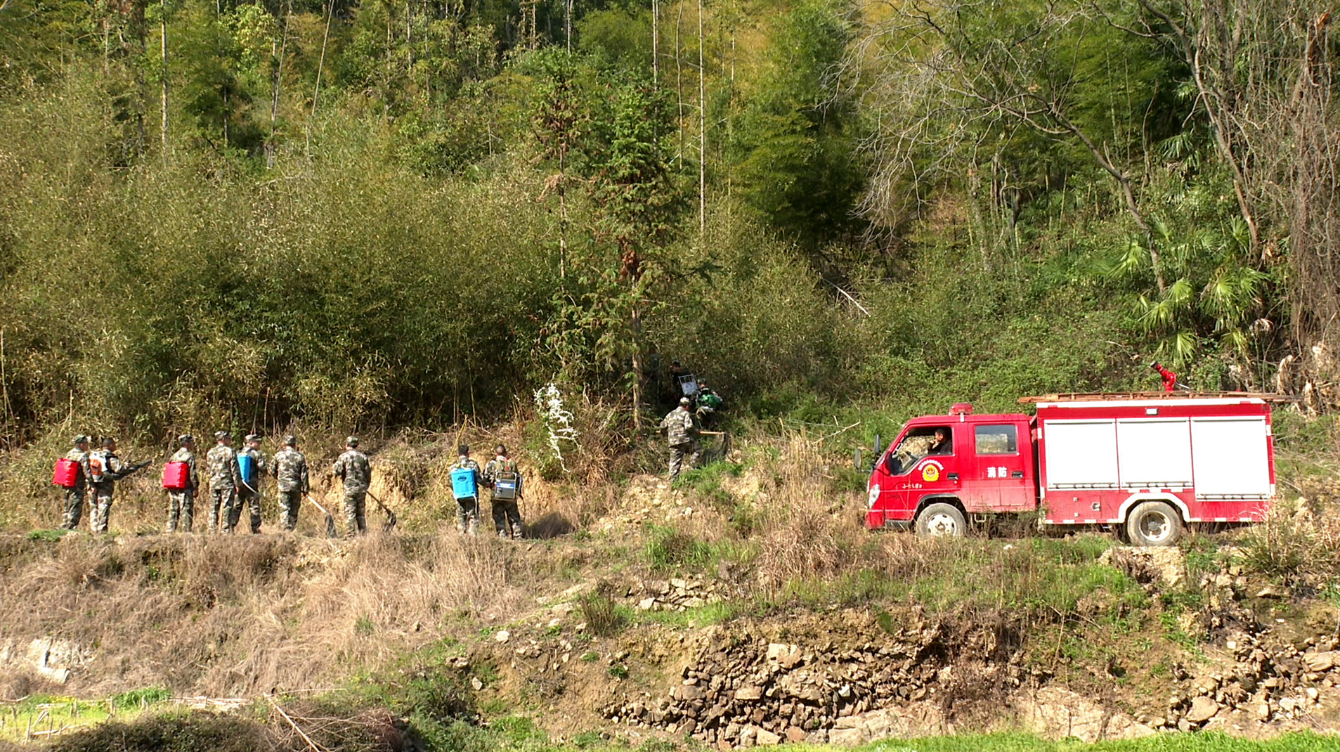 桃林4_副本.jpg 桃林4_副本.jpg