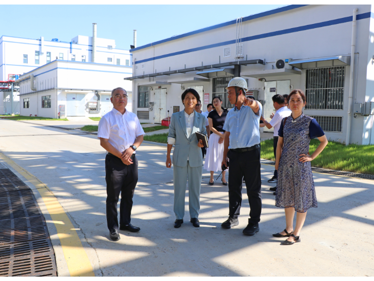【大兴调查研究】省贸促会党组书记、会长杨爱云来我市考察调研 刘琦参加