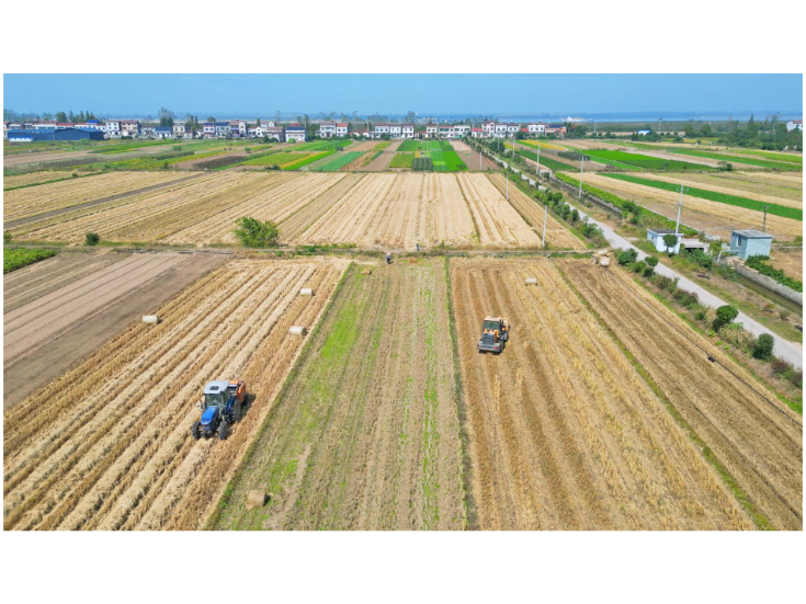 秸秆回收变废为宝  绿色循环助农增收