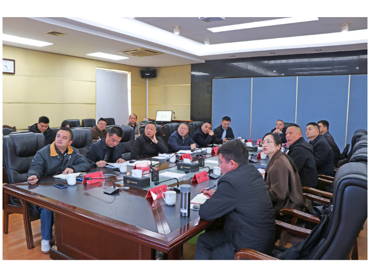 刘琦主持召开儒溪集镇总规及集中建房点规划汇报会