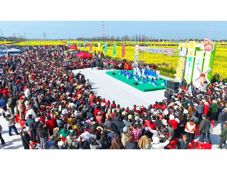 面朝长江 春暖花开 江南镇油菜花迎来最佳观赏期