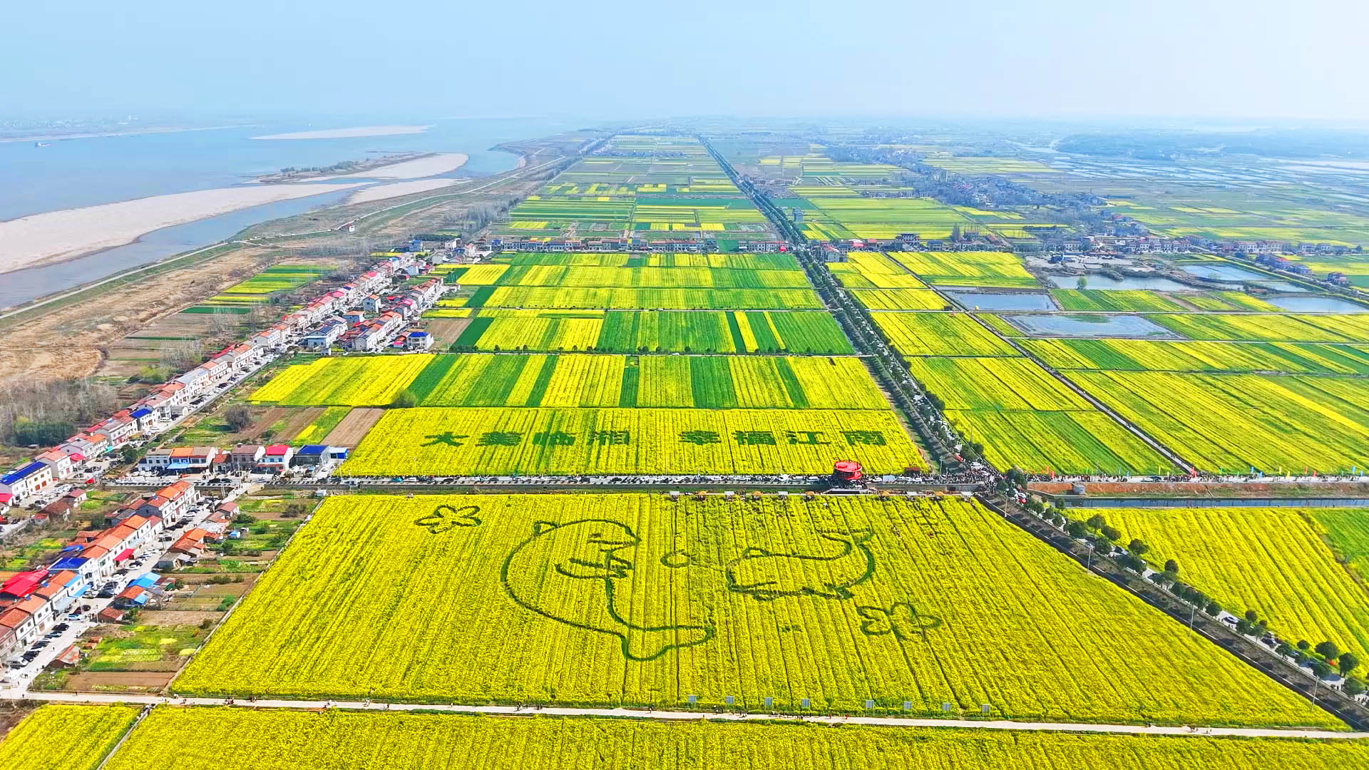 0312 面朝长江 春暖花开 江南镇油菜花迎来最佳观赏期8.jpg