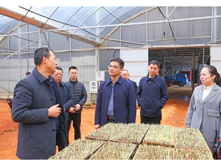 熊世成专题督导全市春耕生产工作