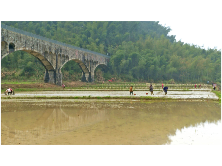 羊楼司镇如斯村：人勤春早备耕忙 育秧先行启新程