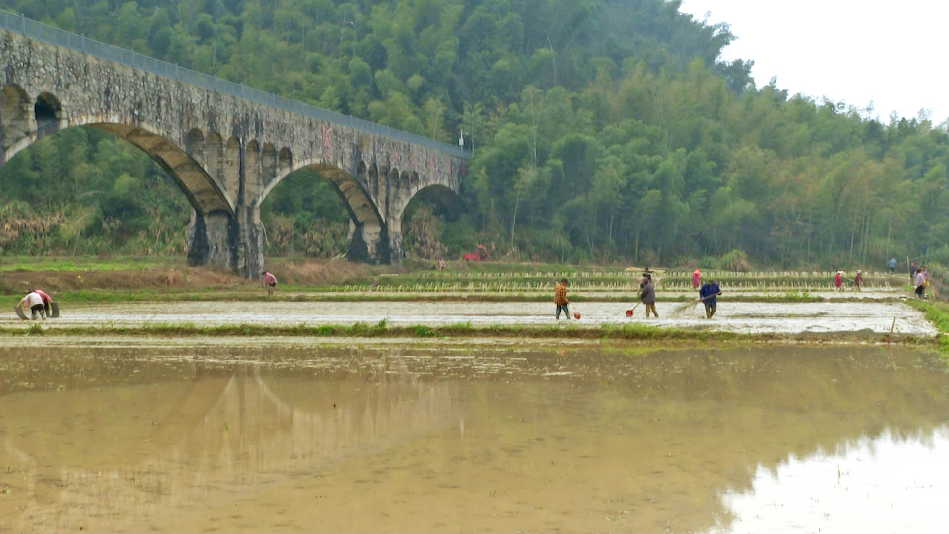 0320 羊楼司镇如斯村：人勤春早备耕忙 育秧先行启新程2.jpg