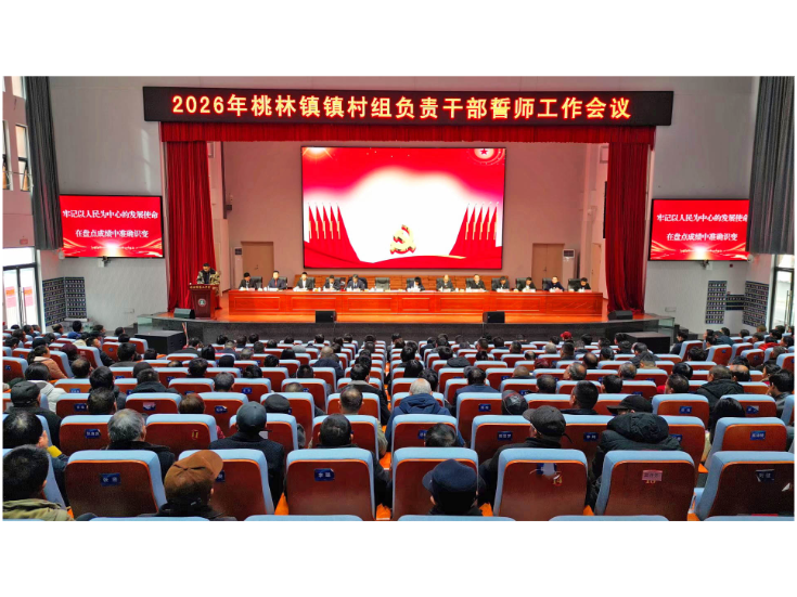 各镇（街道）、市直各部门贯彻落实市镇村负责干部暨市委农村工作会议精神（二）