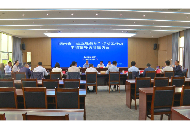 【大兴调查研究】省“企业服务年”行动工作组来我市督导调研工作